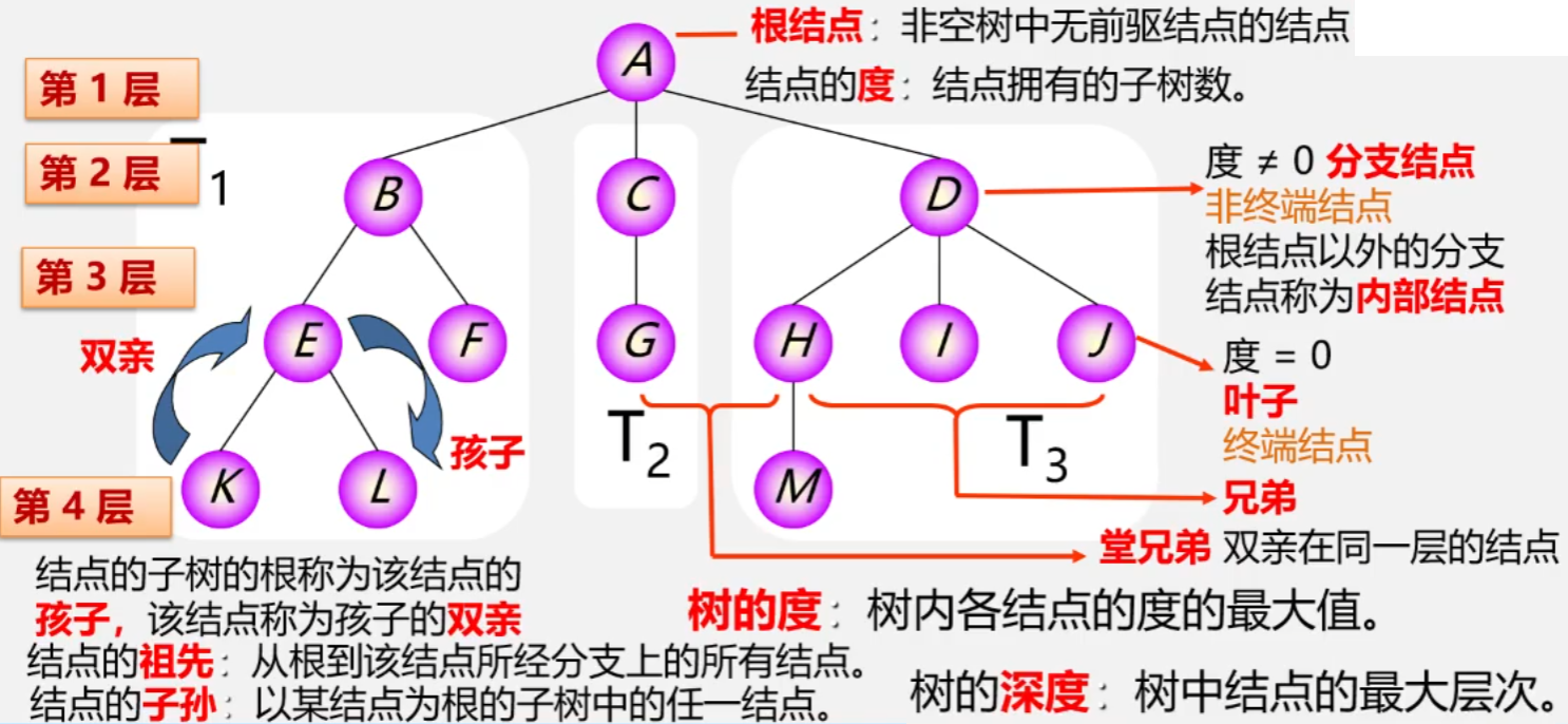 image-20231229235903379