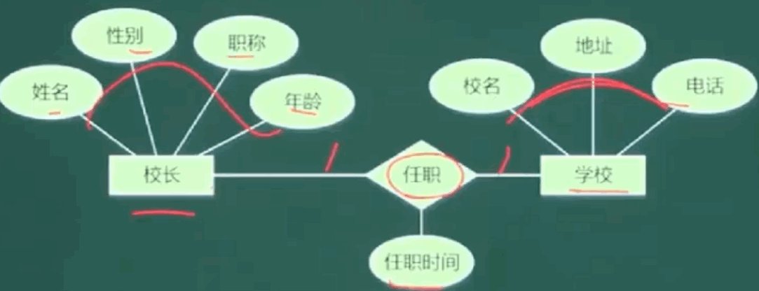 image-20240219150521609