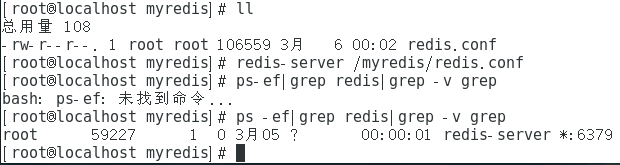 image-20240306000530507