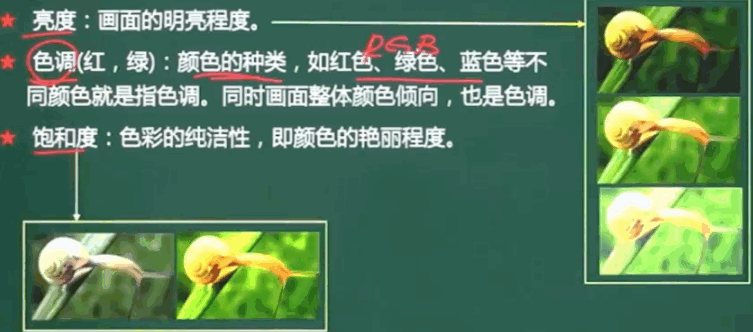 image-20240312145317973